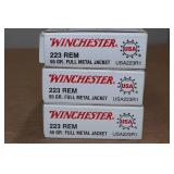 60 Winchester .223 Rem 55 Gr FMJ Ammo