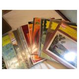 Various Organ Records