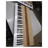 Organ Keyboard