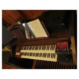 Organ