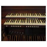 Organ