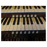 Organ