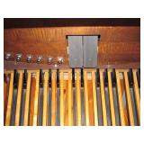 Organ