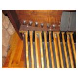 Organ