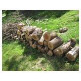 Nicely cut and stacked pile of wood...