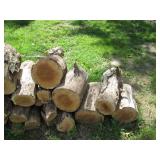 Nicely cut and stacked pile of wood...