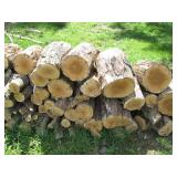 Nicely cut and stacked pile of wood...