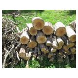 Nicely cut and stacked pile of wood...
