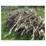 Nicely cut and stacked pile of wood...