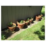 Variety of Outdoor Planters – Plastic & Terra Cotta