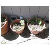 Variety of Outdoor Planters – Plastic & Terra Cotta