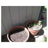 Variety of Outdoor Planters – Plastic & Terra Cotta