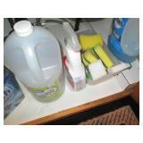 All cleaning detergents and supplie...