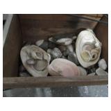 Wood based Outdoor decor, seashells...