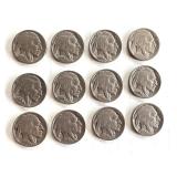 Set of 12 Vintage Buffalo Nickels Various Dates Set of 12 Vintage Buffalo Nickels Various Dates