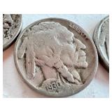 Lot of 12 Buffalo Nickels Assorted Dates Lot of 12 Buffalo Nickels Assorted Dates