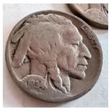 Lot of 12 Buffalo Nickels Assorted Dates Lot of 12 Buffalo Nickels Assorted Dates