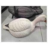 35 Snow Goose Shells