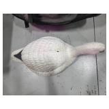 35 Snow Goose Shells