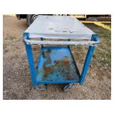 Rolling Metal Utility Cart (~3