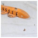 Pfueger Fins Decoy and Custom 60 Pfueger Fins Decoy and Custom 60
