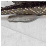 Northern Pike 1960 Northern Pike 1960