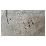 Pictorial Sketch on Animal Hide-2009 by Eagle Wolf Pictorial Sketch on Animal Hide-2009 by Eagle Wolf