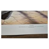 Browsing, Terry Redlin, 205/960, pencil Signed Browsing, Terry Redlin, 205/960, pencil Signed