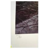 Sunny Afternoon, 205/960, Terry Redlin Pencil Signed Sunny Afternoon, 205/960, Terry Redlin Pencil Signed