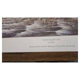 Rough Water Cans, James Killen, 436/3600, 1986 MN Ducks Unlimited Sponser of Year Print Rough Water Cans, James Killen, 436/3600, 1986 MN Ducks Unlimited Sponser of Year Print