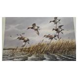 Rough Water Cans, James Killen, 436/3600, 1986 MN Ducks Unlimited Sponser of Year Print Rough Water Cans, James Killen, 436/3600, 1986 MN Ducks Unlimited Sponser of Year Print