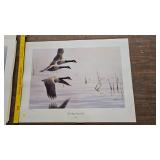 Silent Wings, Garry Maass, 3095/3800 Silent Wings, Garry Maass, 3095/3800