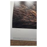 Silent Wings(4 print Set)-Terry Redlin, Blue Goose, Snow Goose, Canada Good, White Goose Silent Wings(4 print Set)-Terry Redlin, Blue Goose, Snow Goose, Canada Good, White Goose