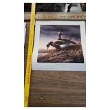 Silent Wings(4 print Set)-Terry Redlin, Blue Goose, Snow Goose, Canada Good, White Goose Silent Wings(4 print Set)-Terry Redlin, Blue Goose, Snow Goose, Canada Good, White Goose
