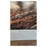 Silent Wings(4 print Set)-Terry Redlin, Blue Goose, Snow Goose, Canada Good, White Goose Silent Wings(4 print Set)-Terry Redlin, Blue Goose, Snow Goose, Canada Good, White Goose