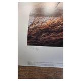 Silent Wings(4 print Set)-Terry Redlin, Blue Goose, Snow Goose, Canada Good, White Goose Silent Wings(4 print Set)-Terry Redlin, Blue Goose, Snow Goose, Canada Good, White Goose