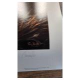 Silent Wings(4 print Set)-Terry Redlin, Blue Goose, Snow Goose, Canada Good, White Goose Silent Wings(4 print Set)-Terry Redlin, Blue Goose, Snow Goose, Canada Good, White Goose