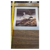 Silent Wings(4 print Set)-Terry Redlin, Blue Goose, Snow Goose, Canada Good, White Goose Silent Wings(4 print Set)-Terry Redlin, Blue Goose, Snow Goose, Canada Good, White Goose