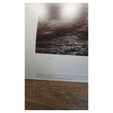 Silent Wings(4 print Set)-Terry Redlin, Blue Goose, Snow Goose, Canada Good, White Goose Silent Wings(4 print Set)-Terry Redlin, Blue Goose, Snow Goose, Canada Good, White Goose