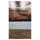 Silent Wings(4 print Set)-Terry Redlin, Blue Goose, Snow Goose, Canada Good, White Goose Silent Wings(4 print Set)-Terry Redlin, Blue Goose, Snow Goose, Canada Good, White Goose