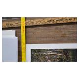 Gaviidae, James Meger, Certificate of Authenticity,51/1250 Gaviidae, James Meger, Certificate of Authenticity,51/1250