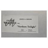 Northern Twilight, James Meger Northern Twilight, James Meger