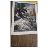 White Water, James Meger, 51/1250 White Water, James Meger, 51/1250
