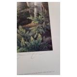 Boundry Waters, James Meger, Pencil Signed with Certificate of Authenticity, 51/960 Boundry Waters, James Meger, Pencil Signed with Certificate of Authenticity, 51/960