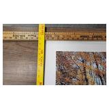 Rustic Woods, Richard Plasschaert, Pencil Signed, 950/4000