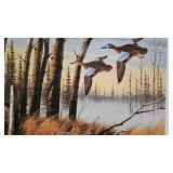 North Country Bluewings, Gary Sorrels, Pencil Signed, 1147/3600