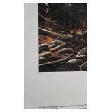 Breaking Cover, Terry Redlin, Pencil Signed, 205/960