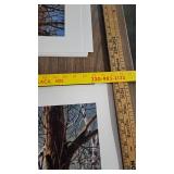 Breaking Cover, Terry Redlin, Pencil Signed, 205/960