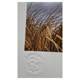 Green Head Country, David Maass, Pencil Signed, 1984 MN DU Sponser Print of the Year