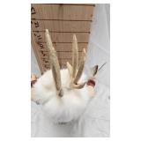 Pine Ridge Lakota-Deer Kachina by Eagle Wolf Pine Ridge Lakota-Deer Kachina by Eagle Wolf